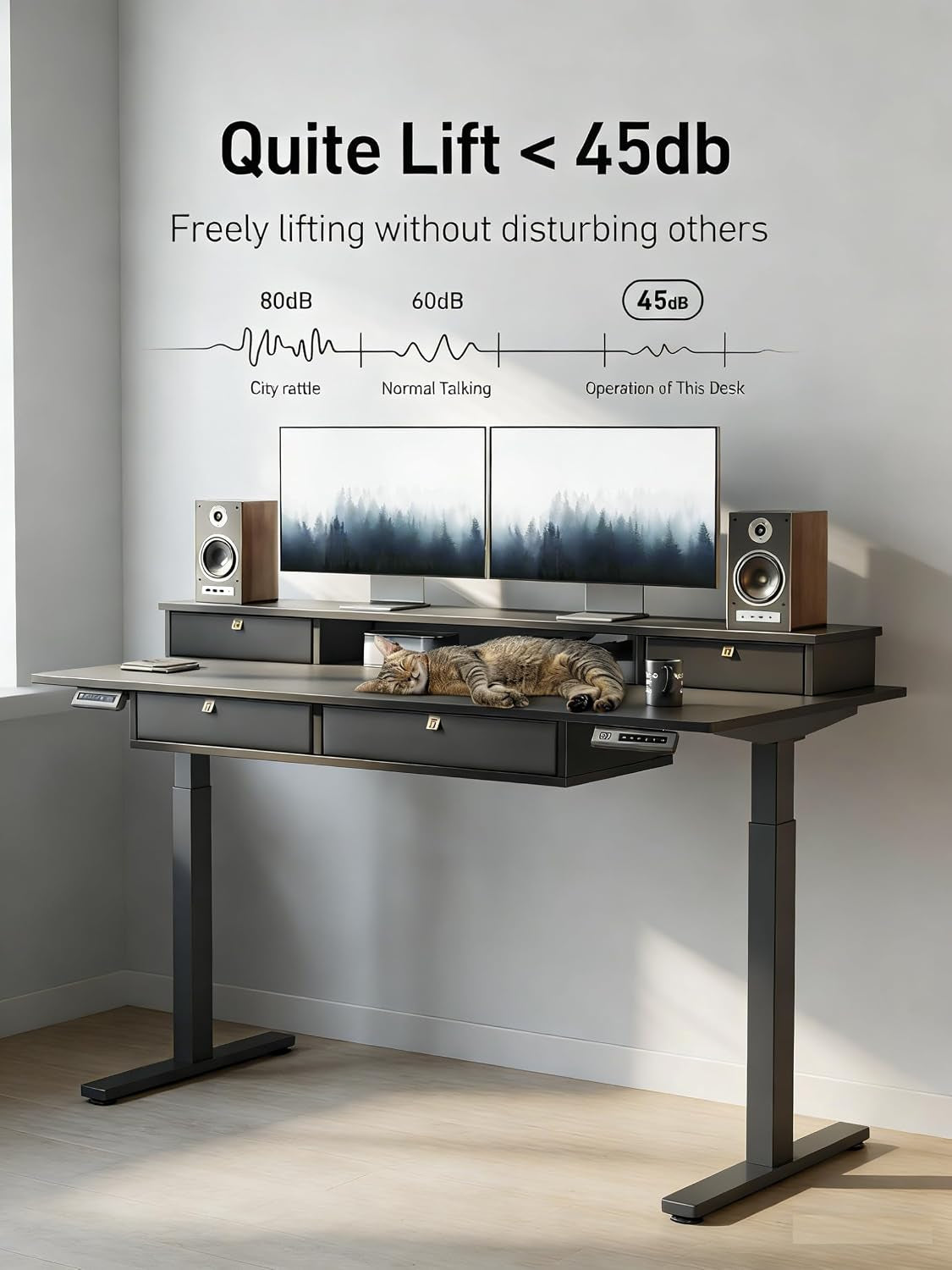 48" X 24" Standing Electric Desk with Drawers, Black